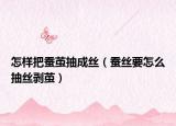 怎样把蚕茧抽成丝（蚕丝要怎么抽丝剥茧）
