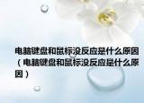 电脑键盘和鼠标没反应是什么原因（电脑键盘和鼠标没反应是什么原因）