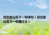 月出惊山鸟下一句诗句（月出惊山鸟下一句是什么）