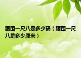 腰围一尺八是多少码（腰围一尺八是多少厘米）
