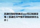 凯迪仕指纹锁通过app可以知道没电（凯迪仕APP搜不到指纹锁怎么办）