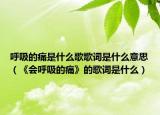 呼吸的痛是什么歌歌词是什么意思（《会呼吸的痛》的歌词是什么）