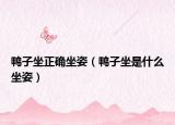 鸭子坐正确坐姿（鸭子坐是什么坐姿）