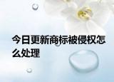 今日更新商标被侵权怎么处理