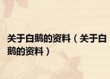 关于白鹅的资料（关于白鹅的资料）