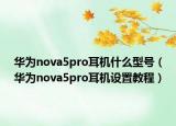 华为nova5pro耳机什么型号（华为nova5pro耳机设置教程）
