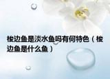 梭边鱼是淡水鱼吗有何特色（梭边鱼是什么鱼）