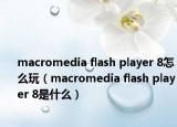 macromedia flash player 8怎么玩（macromedia flash player 8是什么）