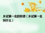 乡试第一名的称谓（乡试第一名叫什么）