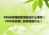 999朵玫瑰的歌词表达什么意思（《999朵玫瑰》的歌词是什么）