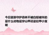 今日更新守护森林不被白蚁破坏的是什么动物是穿山甲还是铠甲小宝呢