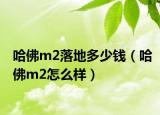 哈佛m2落地多少钱（哈佛m2怎么样）