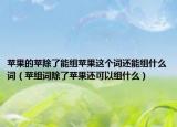 苹果的苹除了能组苹果这个词还能组什么词（苹组词除了苹果还可以组什么）