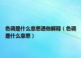色调是什么意思通俗解释（色调是什么意思）