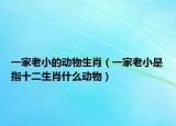 一家老小的动物生肖（一家老小是指十二生肖什么动物）