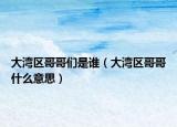 大湾区哥哥们是谁（大湾区哥哥什么意思）