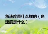 角速度是什么样的（角速度是什么）
