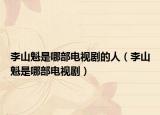 李山魁是哪部电视剧的人（李山魁是哪部电视剧）