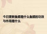 今日更新鱼鳔是什么鱼鳔的功效与作用是什么