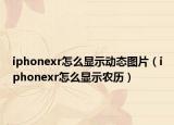 iphonexr怎么显示动态图片（iphonexr怎么显示农历）