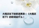 大雨还在下的歌词寓意（《大雨还在下》的歌词是什么）
