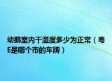 幼鹅室内干湿度多少为正常（粤E是哪个市的车牌）