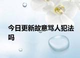 今日更新故意骂人犯法吗