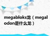 megabloks龙（megalodon是什么龙）