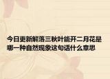 今日更新解落三秋叶能开二月花是哪一种自然现象这句话什么意思