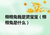 榕榕兔我是贤宝宝（榕榕兔是什么）
