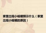 家里出现小蟑螂预示什么（家里出现小蟑螂的原因）