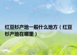 红豆杉产地一般什么地方（红豆杉产地在哪里）