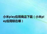 小米play应用商店下载（小米play应用锁在哪）