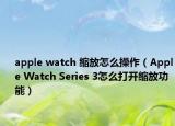 apple watch 缩放怎么操作（Apple Watch Series 3怎么打开缩放功能）