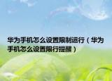 华为手机怎么设置限制运行（华为手机怎么设置限行提醒）
