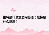 推特是什么意思网络语（推特是什么意思）