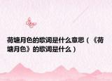 荷塘月色的歌词是什么意思（《荷塘月色》的歌词是什么）