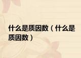 什么是质因数（什么是质因数）