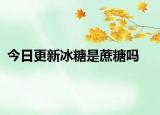 今日更新冰糖是蔗糖吗