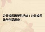 公共娱乐场所包括啥（公共娱乐场所包括哪些）