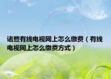 诸暨有线电视网上怎么缴费（有线电视网上怎么缴费方式）