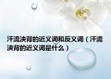汗流浃背的近义词和反义词（汗流浃背的近义词是什么）