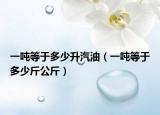 一吨等于多少升汽油（一吨等于多少斤公斤）