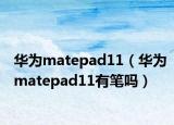 华为matepad11（华为matepad11有笔吗）
