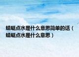 蜻蜓点水是什么意思简单的话（蜻蜓点水是什么意思）