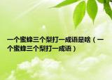 一个蜜蜂三个梨打一成语是啥（一个蜜蜂三个梨打一成语）