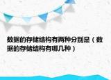 数据的存储结构有两种分别是（数据的存储结构有哪几种）