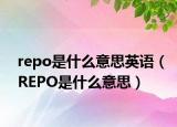 repo是什么意思英语（REPO是什么意思）
