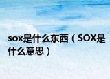 sox是什么东西（SOX是什么意思）