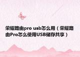 荣耀路由pro usb怎么用（荣耀路由Pro怎么使用USB储存共享）